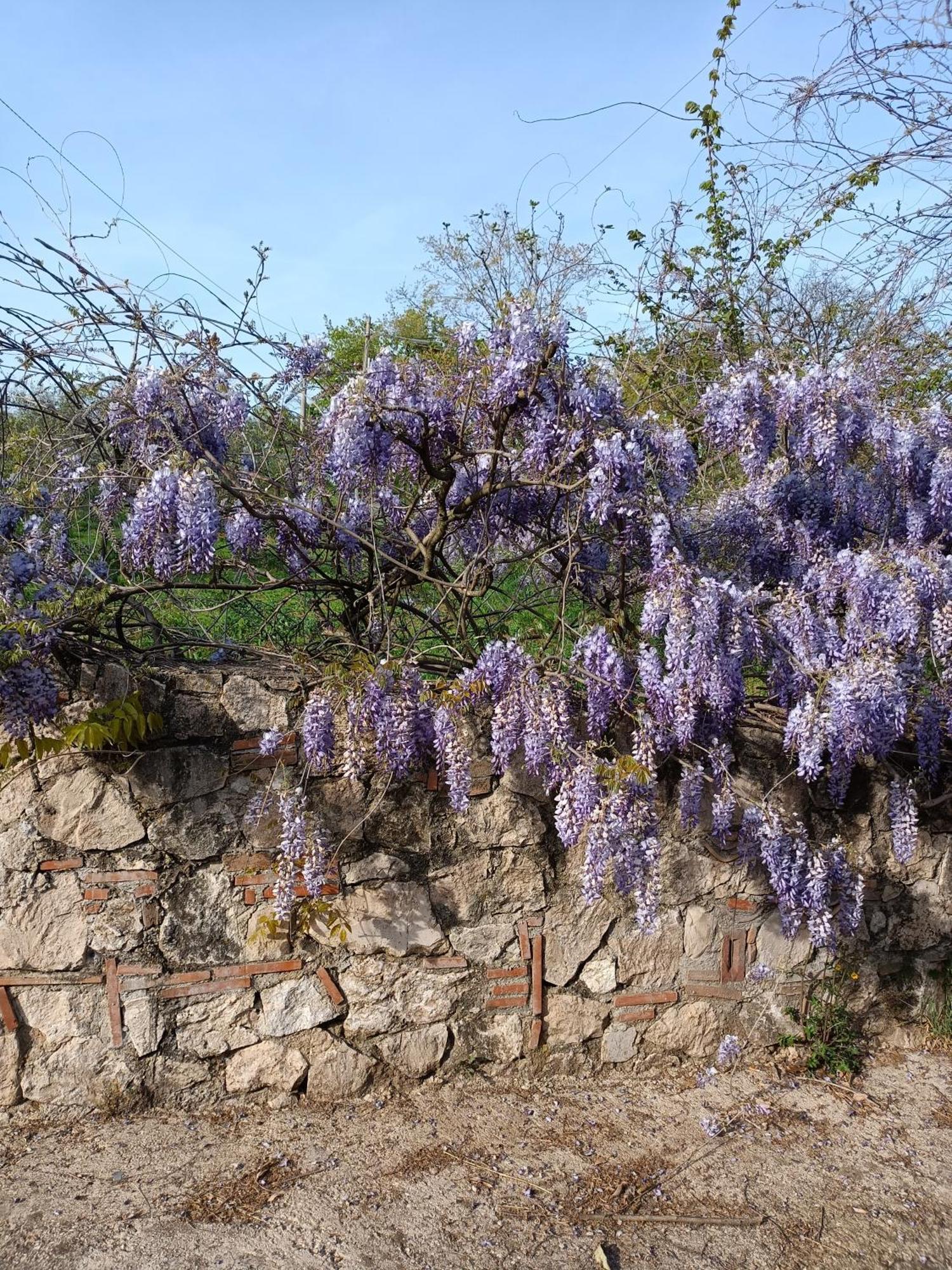 דירות פיאנו רומאנו Colle Perazzoni מראה חיצוני תמונה