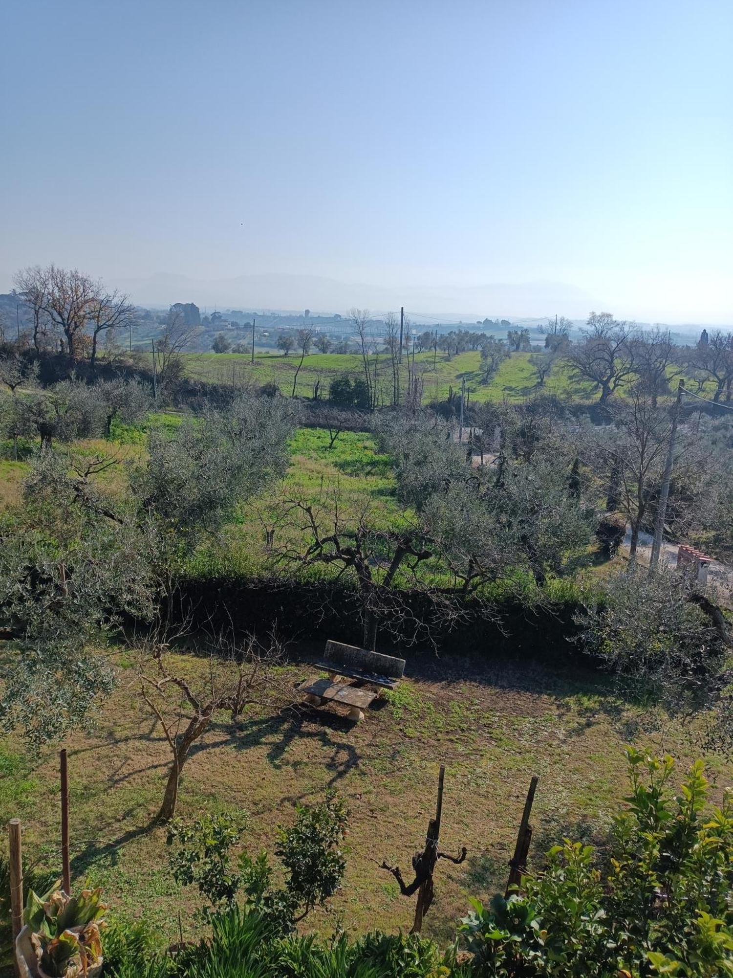 דירות פיאנו רומאנו Colle Perazzoni מראה חיצוני תמונה