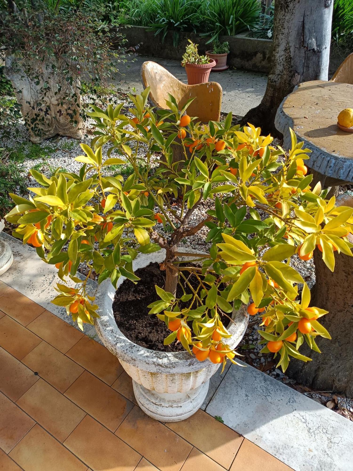 דירות פיאנו רומאנו Colle Perazzoni מראה חיצוני תמונה