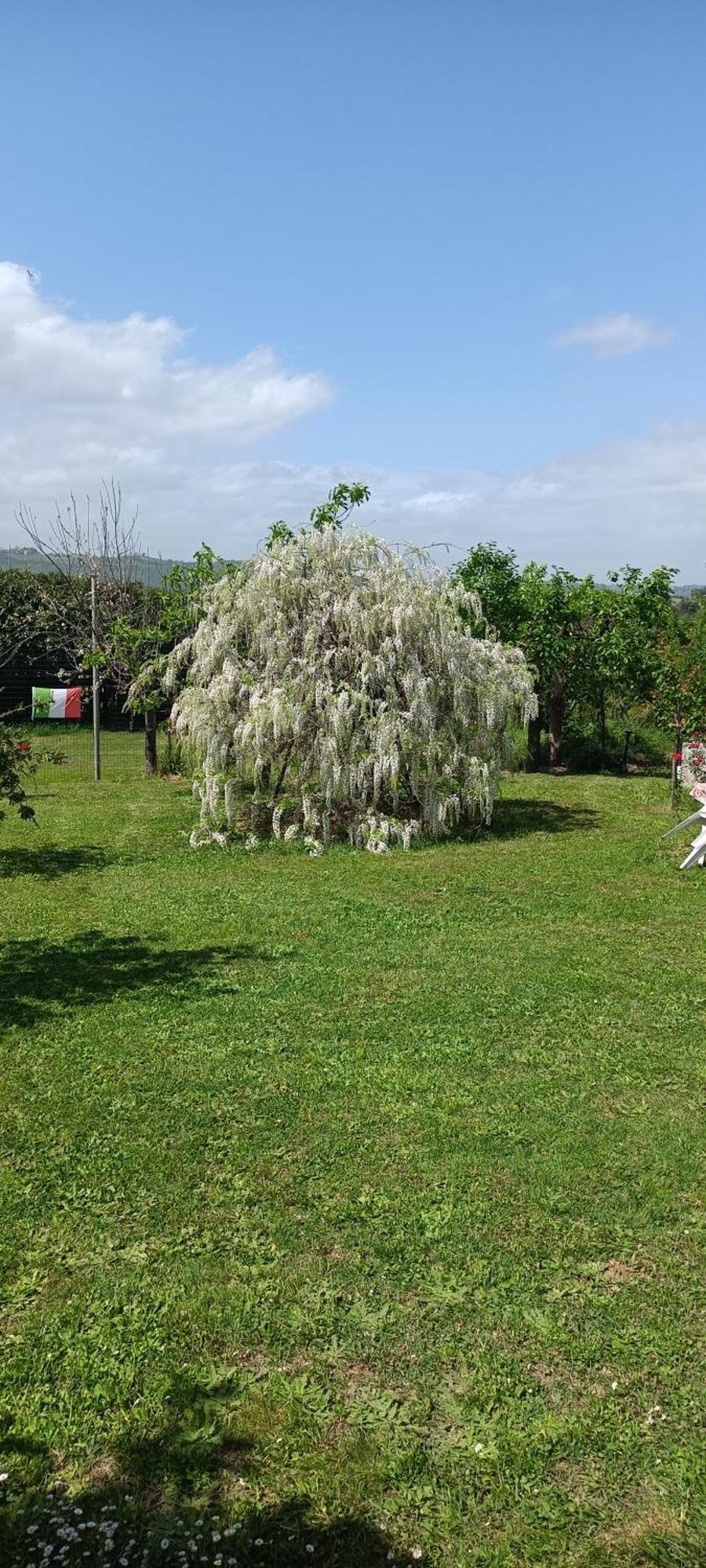 דירות פיאנו רומאנו Colle Perazzoni מראה חיצוני תמונה