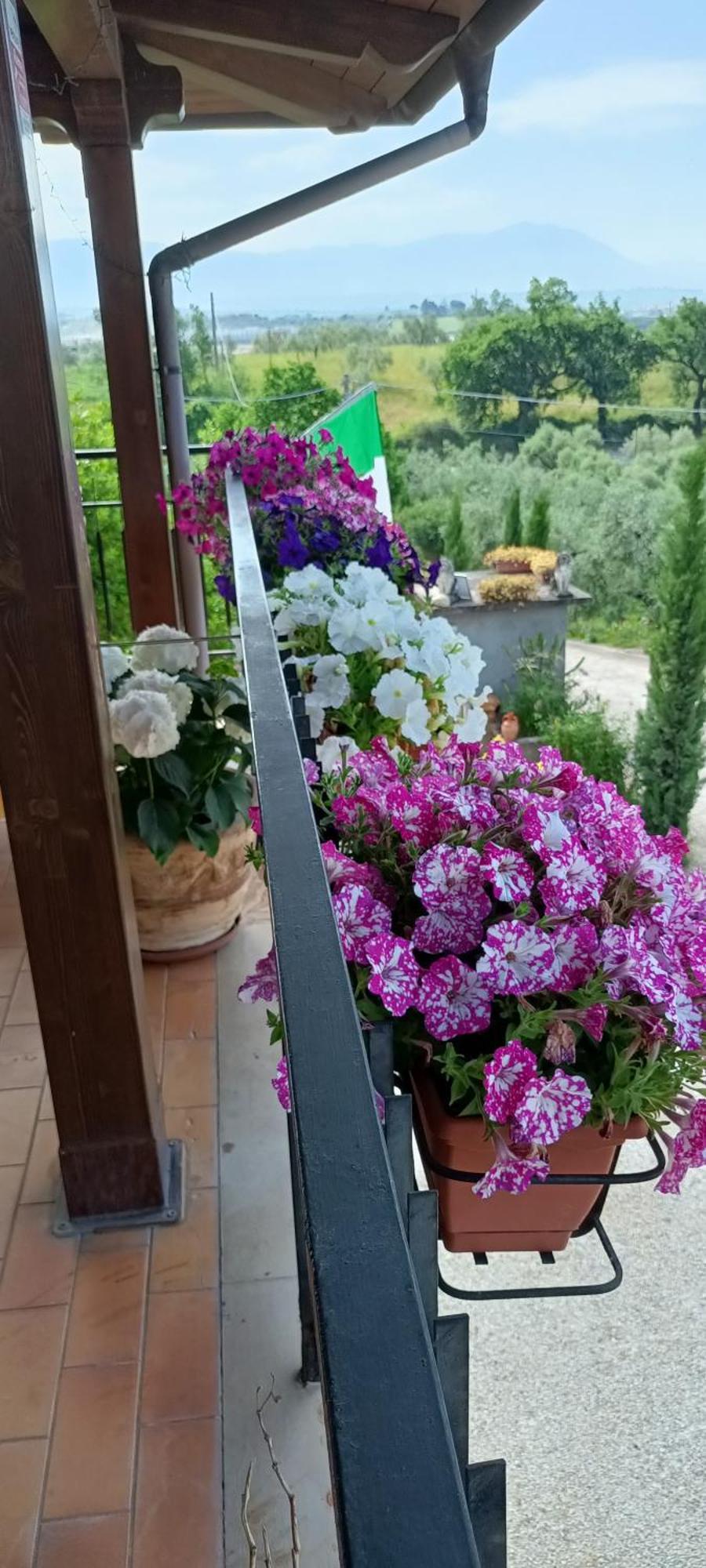 דירות פיאנו רומאנו Colle Perazzoni מראה חיצוני תמונה